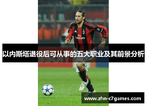 以内斯塔退役后可从事的五大职业及其前景分析