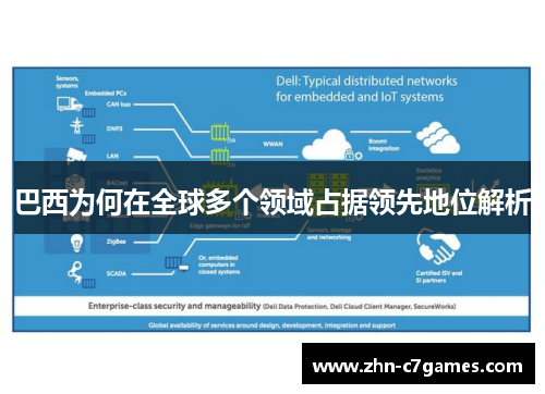 巴西为何在全球多个领域占据领先地位解析