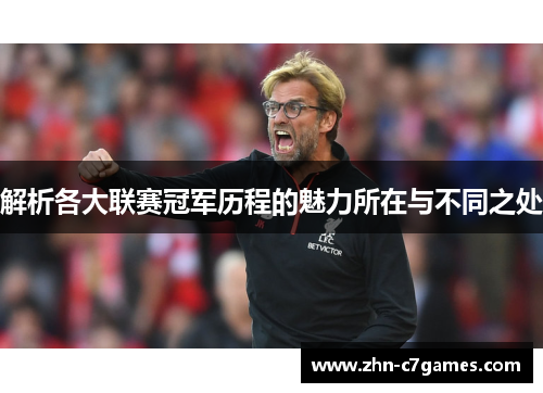 解析各大联赛冠军历程的魅力所在与不同之处