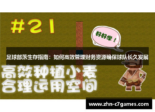 足球部落生存指南：如何高效管理财务资源确保球队长久发展